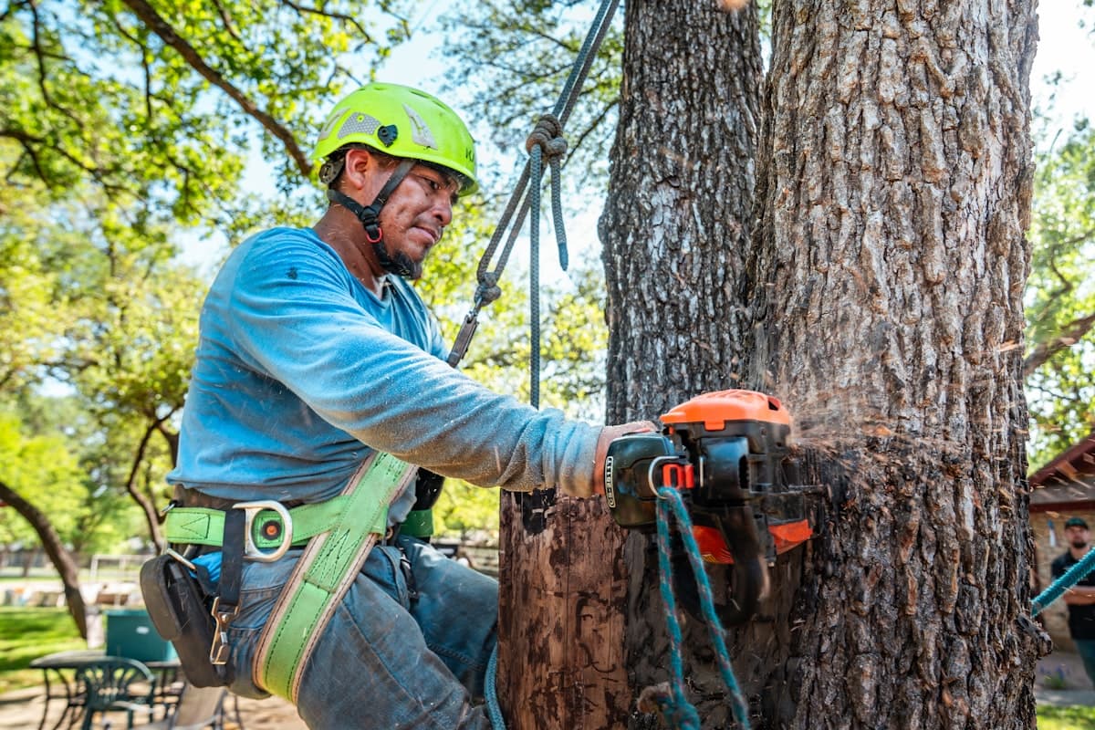 Founding crew placeholder — arborist with saw, Midwest region